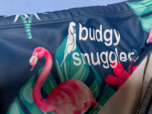 Budgy smuggler well - well, worn